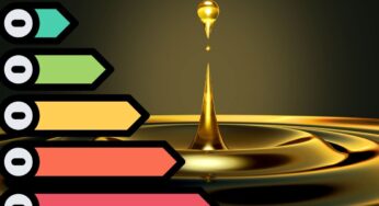 Oli di semi, è questo il migliore per distacco: più buono e anche più salutare